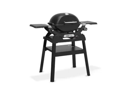 WEBER Gasgrill Q 1200N schwarz mit Standfuß