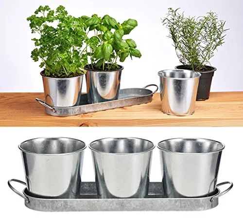 Haushalt International Kräutertopf Kräutertöpfe Set bestehend aus 3 Töpfen und Untersetzer 16138