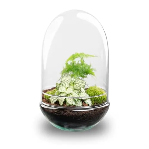 urbanjngl.com - Egg XL - Flaschengarten - Zweiteilige Glaskuppel - DIY Terrarium mit Pflanzen im Glas - Ø 17,5 cm ↑ 30 cm