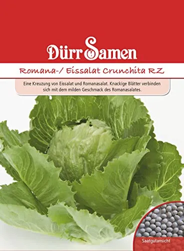 Dürr Samen 4265 Neuartiger Romana-/Eissalat Crunchita RZ (Salatsamen)