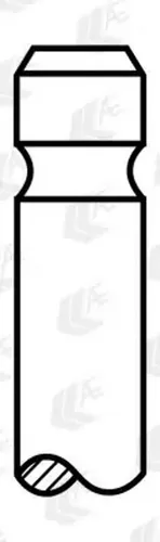 AE Auslassventil V98063