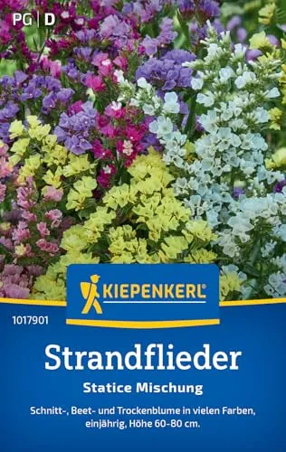 Kiepenkerl Strandfliedersamen Statice Mischung 1017901