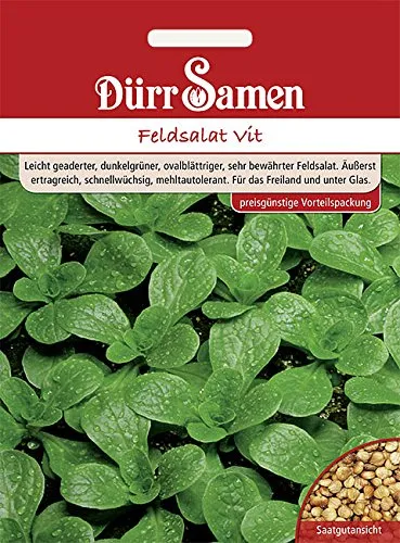 Dürr-Samen - Feldsalat Vit (Vorteilspackung) Saatgut