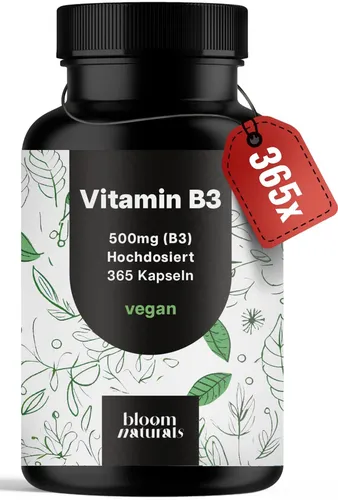 Vitamin B3 Niacinamid Kapseln