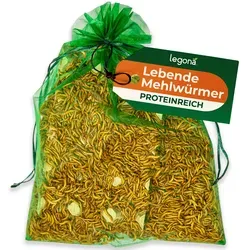 Lebende Mehlwürmer für Haustiere