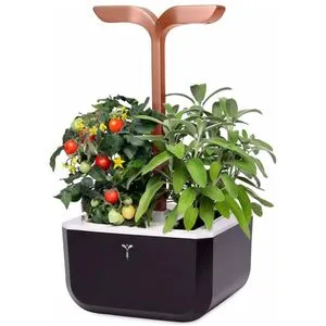 Veritable Anzuchttopf Exky SMART in gold von Veritable