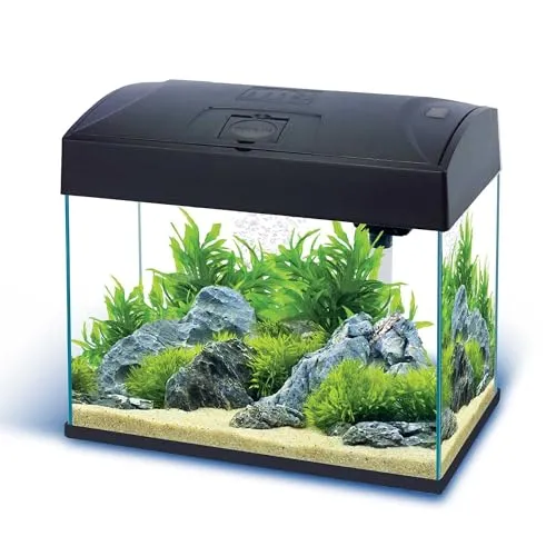 Nano-Komplett-Aquarium 20 L von AQUARIUM-PLÜDERHAUSEN
