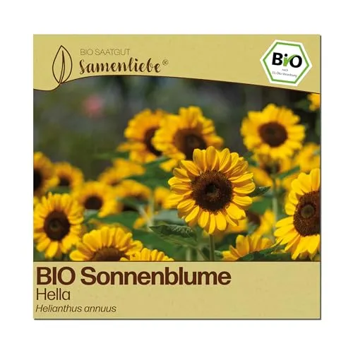 Samenliebe BIO Sonnenblumen Samen | Hella in gelb von Samenliebe