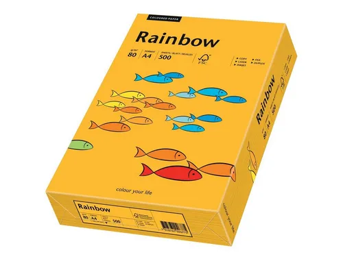 PAPYRUS Kopierpapier in orange von PAPYRUS