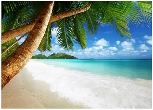Fototapete Strand Meer Palmen Blau Karibik Ozean 350x250 cm - Moderne Vlies Tapete für Wohnzimmer und Schlafzimmer, UV-beständig und mit beeindruckendem 3D-Effekt für eine lebendige Raumgestaltung. Inklusive Kleister für einfache Montage.