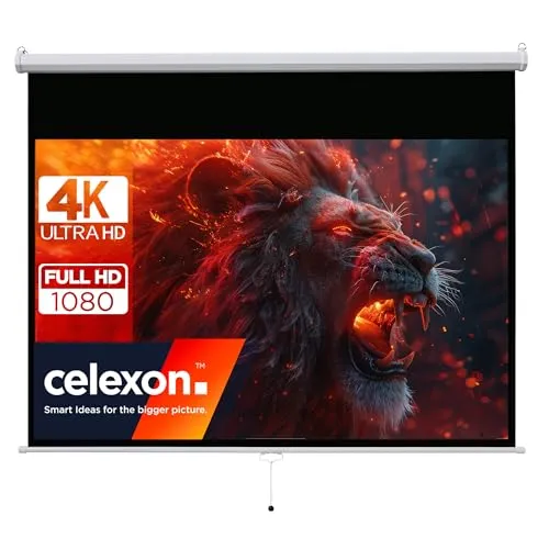 celexon Basic Rollo-Leinwand 90