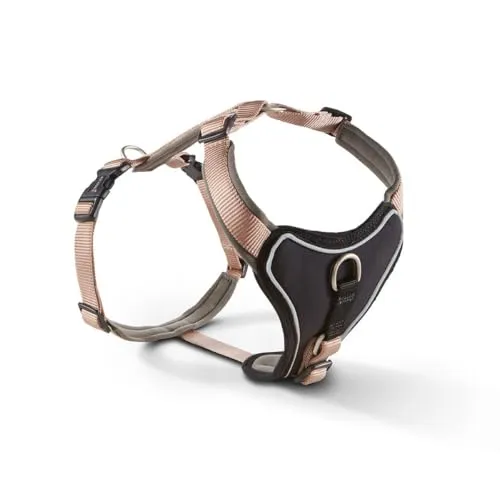 Wolters Hunde-Geschirr Professional Comfort - Weiteres Autozubehör, gepolstert und aus strapazierfähigem Nylon und Neopren für maximalen Komfort und Sicherheit beim Autofahren mit Ihrem Hund.