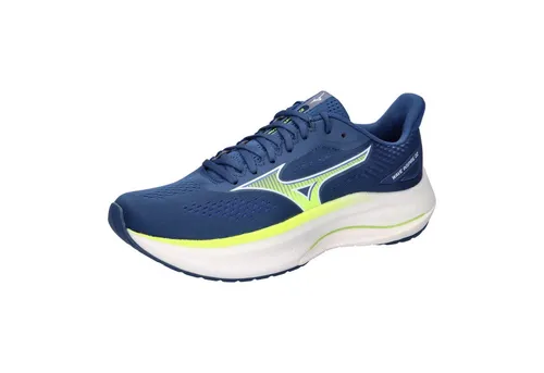 Mizuno Wave Inspire 22