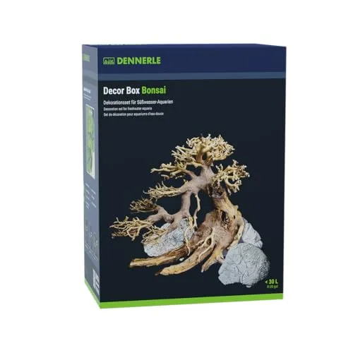Dennerle Decor Box Bonsai - Dekorationsset für Süßwasser-Aquarien - Holzdekor für Aquarien, handgemachter Bonsai in 'Kengai'-Form, ideal für Aquascaping-Einsteiger mit natürlichen Materialien und Einrichtungstipps.