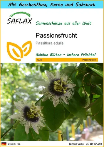 SAFLAX Blumensamen SAFLAX - Geschenkset - Passionsfrucht