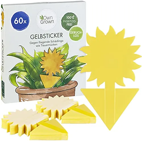 OwnGrown Gelbe Fliegenfalle für Zimmerpflanzen von OwnGrown