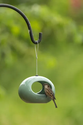 Wildlife Hängende Wasserschale Selo grün