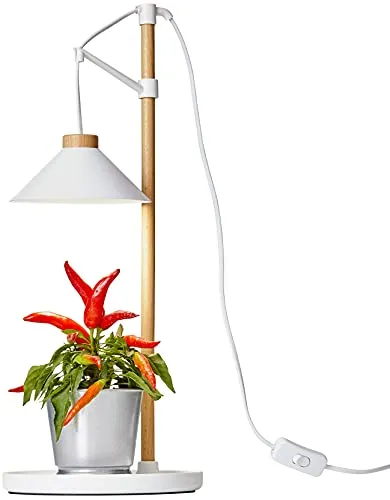 Northpoint LED Pflanzenleuchte Kräutergarten Tischlampe aus Echtholz 9W - Pflanzenlampen mit 9W und 550 Lumen, ideal für Kräuter in der Küche. Höhenverstellbar bis 40cm und mit Timerfunktion für optimale Wachstumsbedingungen.