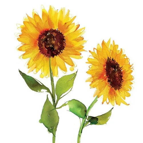 Servietten Two Sunflowers Zwei Sonnenblumen Blumen Garten Natur Deko 33x33cm 20