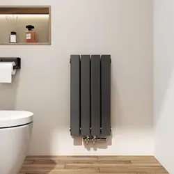 Emke Heizkörper 60x30cm 327W Schwarz Flach