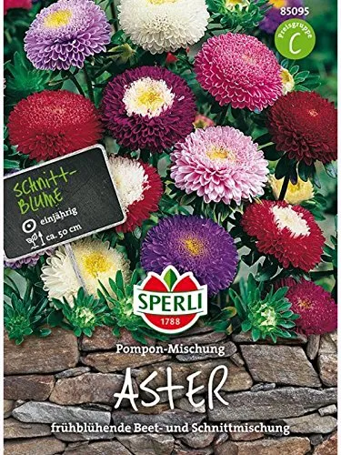 Sperli-Samen Aster Pompon, Mischung