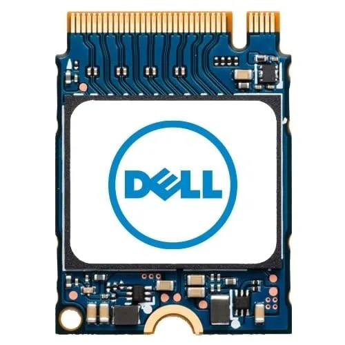 Dell 256GB M.2 PCIe NVME Class 35 SSD von Dell