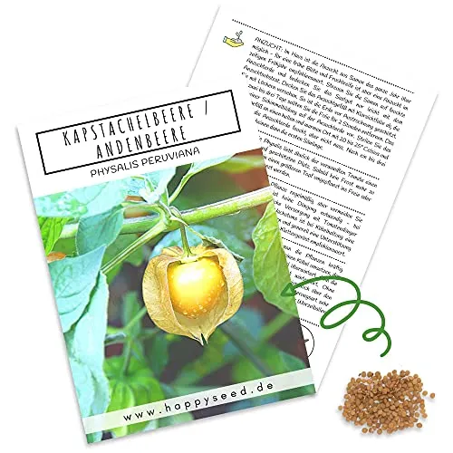 Physalis Samen (Physalis peruviana) - Exotische Kapstachelbeere Andenbeere ideal für die Anzucht im Garten, Balkon oder Terrasse