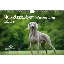 Hundezauber Weimaraner DIN A4 Kalender für 2027 Welpen und Hunde - Seelenzauber