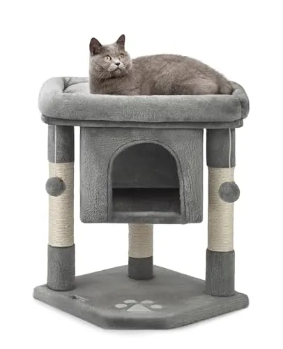 Kratzbäume bis 50 Euro von lionto