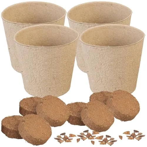 Royal Gardineer Tanne: 4 Weihnachtsbaum-Anzucht-Sets inkl. jeweils 10 Nordmanntannen-Samen (Weihnachtsbaum-Anzuchtset, Tannenbaum-Pflanzsets, Adventskalender)