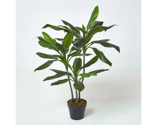 Kunstpflanze Cordyline Fruticosa im Topf - 100 cm, Homescapes - Realistische Kunstpflanze mit drei Stämmen, perfekt für Schlafzimmer oder Wohnzimmer. Pflegeleicht und mit einem eleganten schwarzen Topf ausgestattet, bringt sie ein frisches, botanisches Ambiente in Ihr Zuhause.