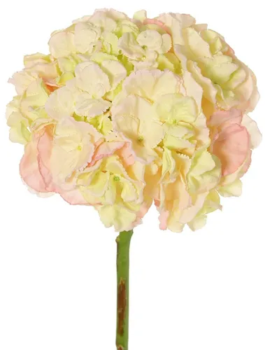 artplants Deko Hortensie LIRLAFY, 65cm, grün-rosa - Künstliche Hortensie in grün-rosa, ideal für eine ansprechende Dekoration. Mit 65cm Höhe und Ø20cm sorgt sie für farbenfrohe Akzente in jedem Raum.