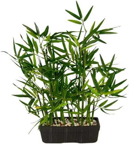 Kunstpflanze Bambus in Schale, I.GE.A., Höhe 41 cm - Kunstpflanze in Schale, naturgetreue Nachbildung und pflegeleicht. Bringt exotisches Flair ins Wohnzimmer und bleibt immergrün, egal bei Licht oder Temperatur.