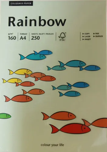 Blatt Rainbow farbiges Kopierpapier A4 160g Hellgrün 250