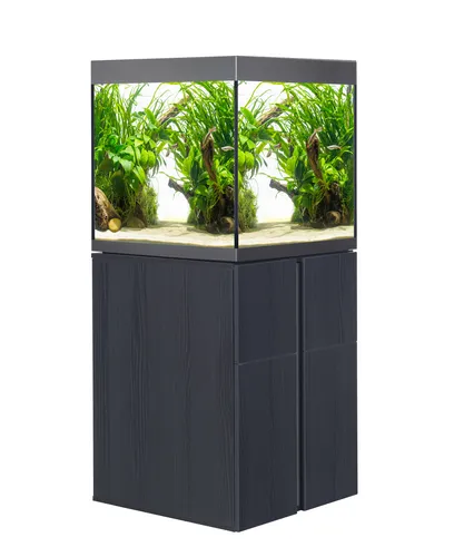 FLUVAL® Aquarium Kombination Siena 160 - 166 l Komplettaquarium - Komplettaquarium mit 166 Liter Kapazität, ideal für Süßwasserfische. Robustes Glas, elegante Grafitfarbe und hochwertige Verarbeitung für ein stilvolles Zuhause.