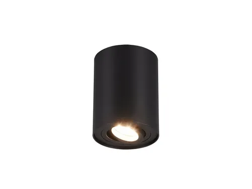 TRIO Leuchten LED Deckenstrahler mit Dimmfunktion, Schwarz Ø 9,6cm - Schwenkbarer LED Aufbaustrahler für individuelle Lichtgestaltung. Ideal zur Akzentuierung von Kunst und Vasen. Inklusive dimmbarem GU10 LED Leuchtmittel für warmweißes Licht.