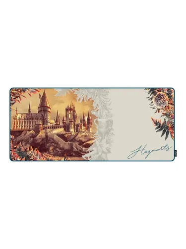Lexip Warner Bros. Mauspad