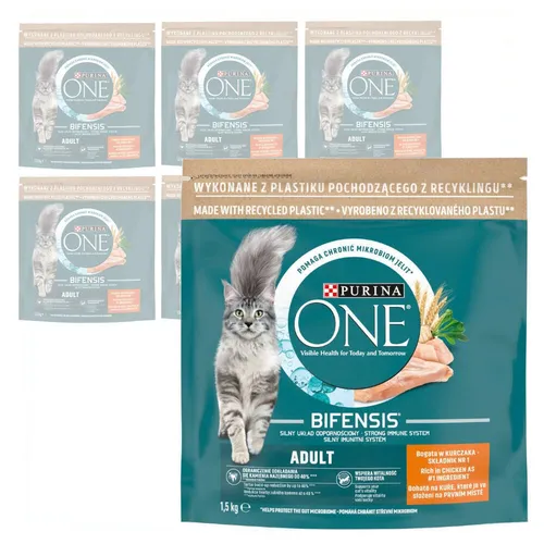 PURINA ONE BIFENSIS Adult Katzentrockenfutter mit Huhn - Katzenfutter für gesunde Katzen ab 1 Jahr: Stärkt die Abwehrkräfte und unterstützt gesunde Knochen, Haut und Harnwege mit einer einzigartigen Nährstoff-Formel.