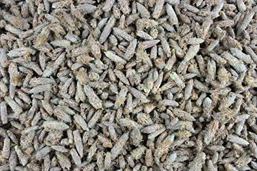 Produktbild 1000Kräuter Kiefernsprossen ganz Kiefernknospen Kräutertee Tee (100g)