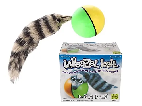 D.Y.Toy 8038H - Weazelball Motorball+Wiesel, sortierte Farben - Interaktives Hundespielzeug mit motorisiertem Weaselball für stundenlangen Spielspaß. Ideal für aktive Hunde, erhältlich in verschiedenen Farben.