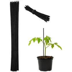 Pflanzstäbe 300er Set - Bambusstab Pflanzenstütze 30 cm - Pflanzenbinder & -stützen, ideal für die Unterstützung von Pflanzenwachstum mit robusten 30 cm langen Bambusstäben, perfekt für Orchideen und Anzucht.