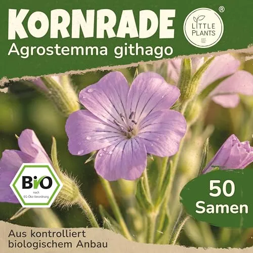 Saatgut von Little Plants