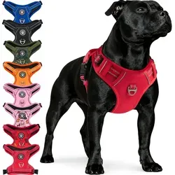 Reichstadt Hunde-Geschirr RS Pets Norwegergeschirr 25RSP083, Polyester, atmungsaktives Netzgewebe und robuster Oxford-Stoff rot M