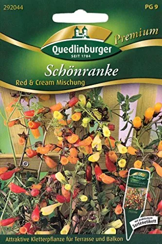 Produktbild Schönranke, Red & Cream Mischung, Eccremocarpus scaber, ca. 50 Samen