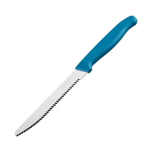 NIROSTA Elemental Frühstücksmesser – Made in Germany – Scharfer Wellenschliff für Brötchen und Brezeln – Nachhaltiger Griff, Blau/Silber