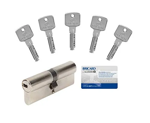 Bricard Zylinder A6, 40 + 40, nicht abbrechbar, mit 5 Schlüsseln, Anti-Bohren und Picking
