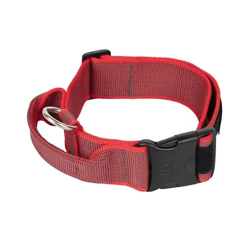 JULIUS K-9 200HA-K-R-2015 Color & Gray K9-Halsband von JULIUS-K9