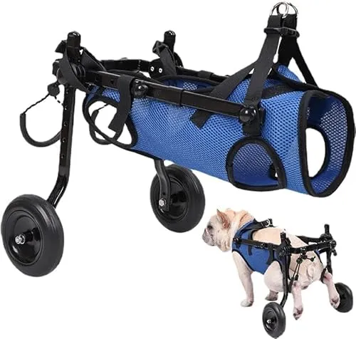 Hunderollstuhl für kleine und mittelgroße Hunde – leicht und größenverstellbar (Blau XS)