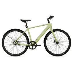 Tenways E-Bike, 1 Gang ohne, ohne, Heckmotor, 360 Wh, Elektro-Citybike E-Urban CGO600PRO l grün 50 cm
