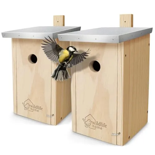 WILDLIFE HOME Nistkasten Meisen – 2er Set mit Metalldach für Kohlmeisen & Co. I nach NABU aus verschraubtem Massiv-Holz I Wetterfest & Unbehandelt I Vogelhaus zum Aufhängen, 2 Stück